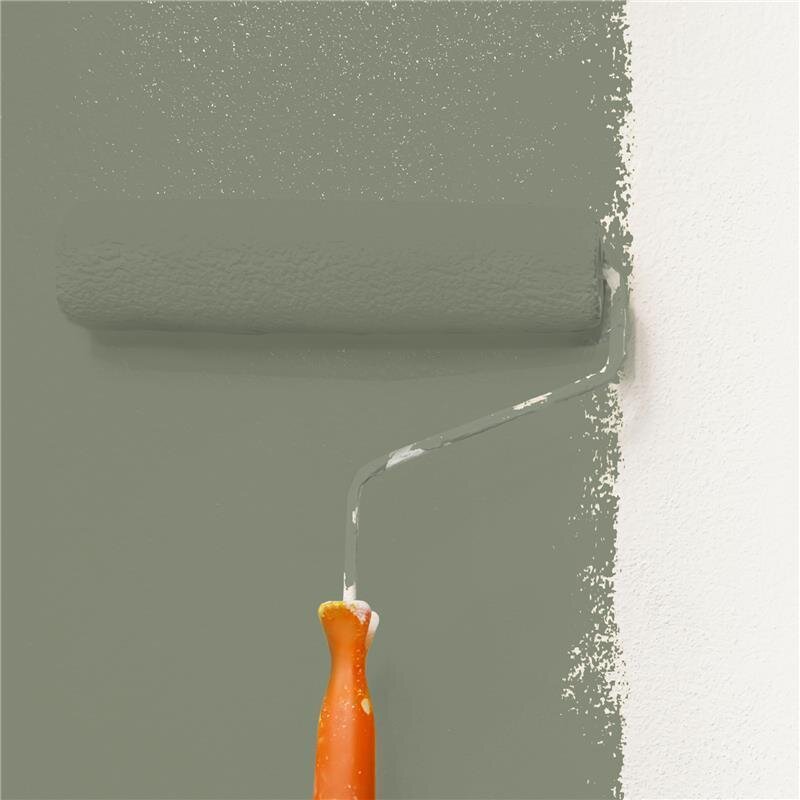 Wandfarbe Matt NCS-S-5010-G50Y Profi Qualität für Innen