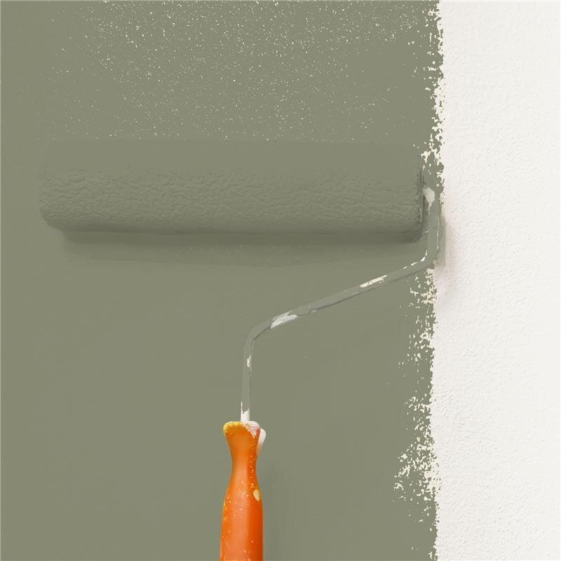 Wandfarbe Matt NCS-S-5010-G70Y Profi Qualität für Innen