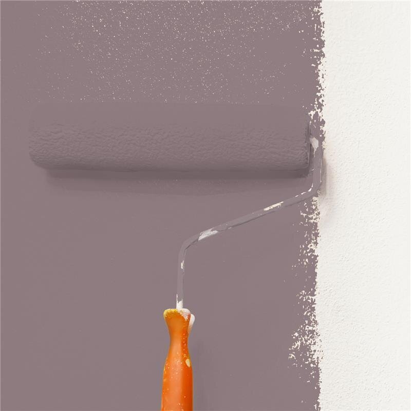 Wandfarbe Matt NCS-S-5010-R10B Profi Qualität für Innen