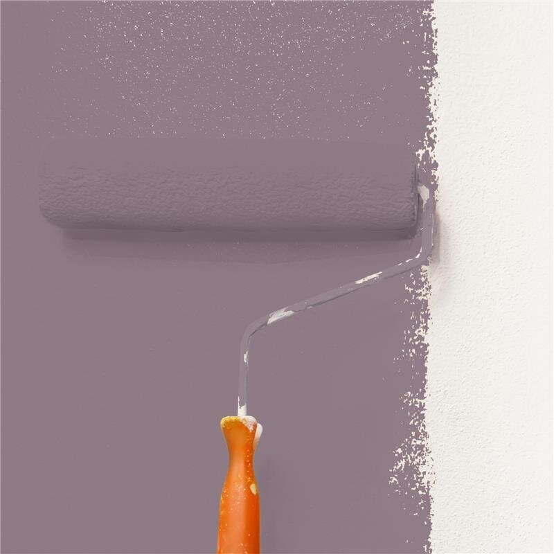 Wandfarbe Matt NCS-S-5010-R30B Profi Qualität für Innen