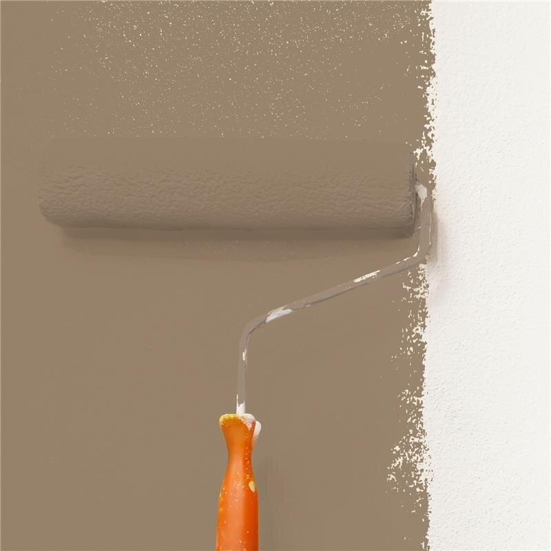 Wandfarbe Matt NCS-S-5010-Y30R Profi Qualität für Innen