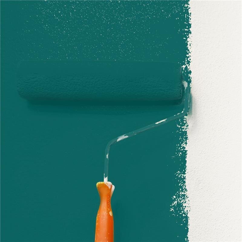 Wandfarbe Matt NCS-S-5040-B50G Profi Qualität für Innen