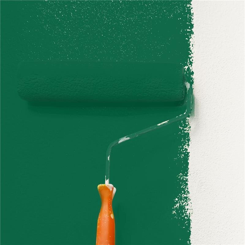 Wandfarbe Matt NCS-S-5040-G Profi Qualität für Innen