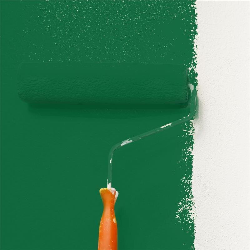 Wandfarbe Matt NCS-S-5040-G10Y Profi Qualität für Innen