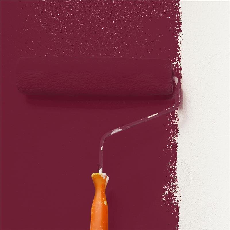Wandfarbe Matt NCS-S-5040-R10B Profi Qualität für Innen