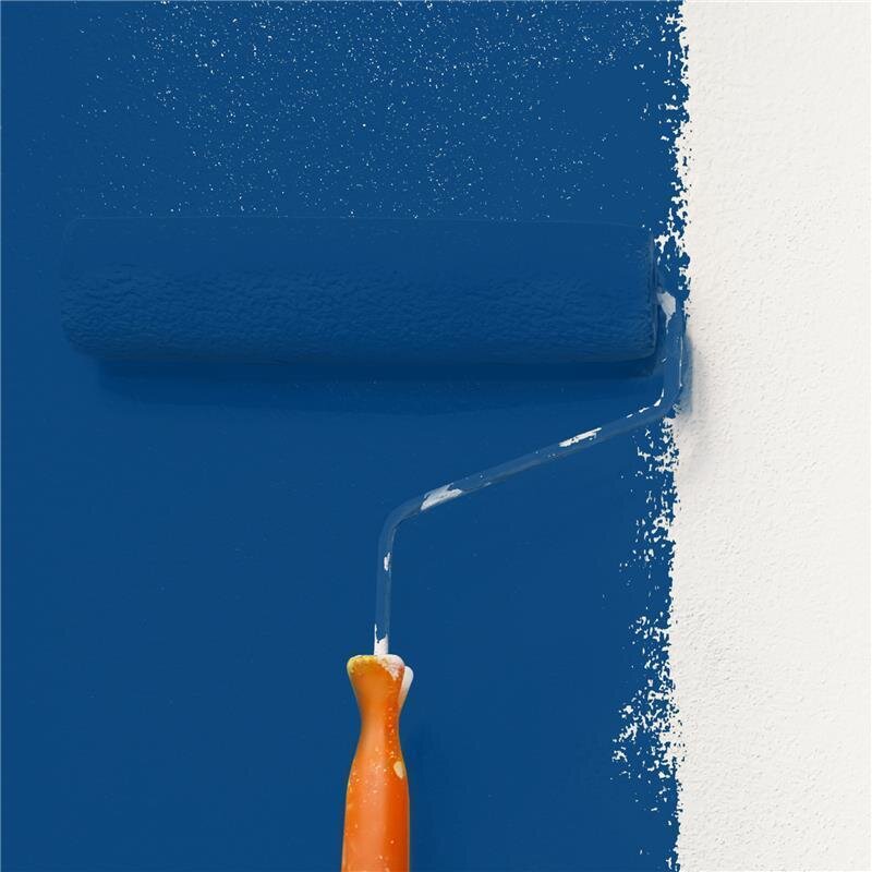 Wandfarbe Matt NCS-S-5040-R80B Profi Qualität für Innen