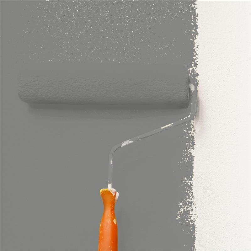 Wandfarbe Matt NCS-S-5500-N Profi Qualität für Innen