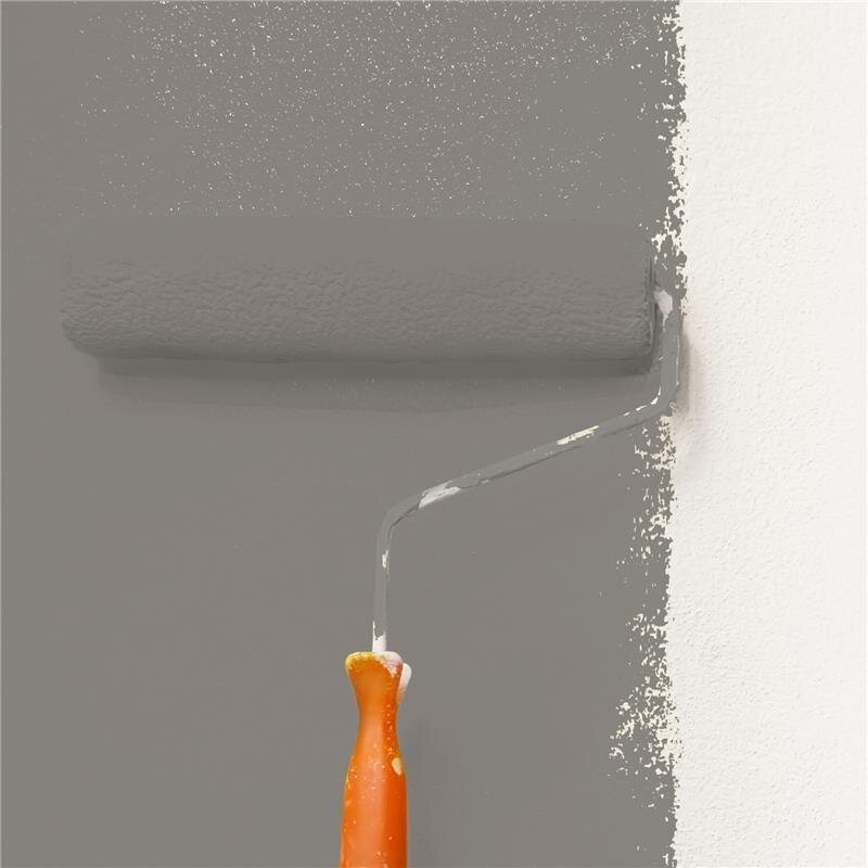 Wandfarbe Matt NCS-S-5502-Y50R Profi Qualität für Innen