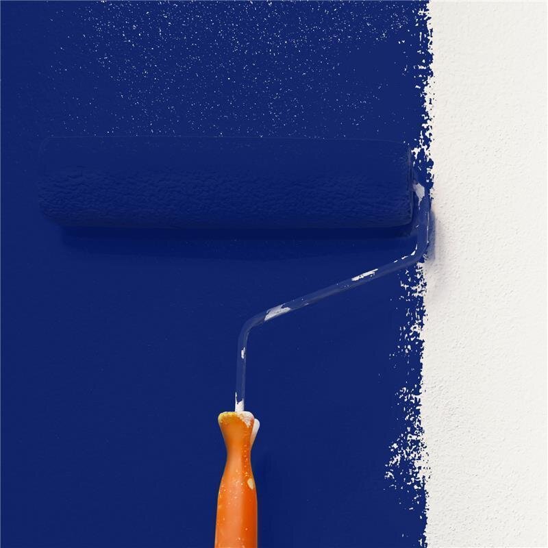 Wandfarbe Matt NCS-S-5540-R70B Profi Qualität für Innen