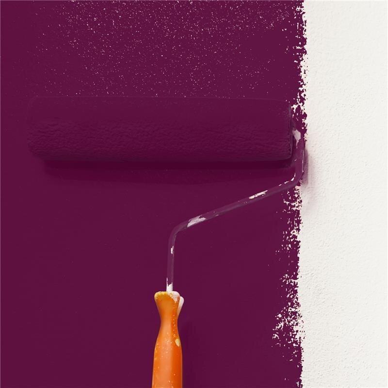 Wandfarbe Matt NCS-S-6030-R30B Profi Qualität für Innen