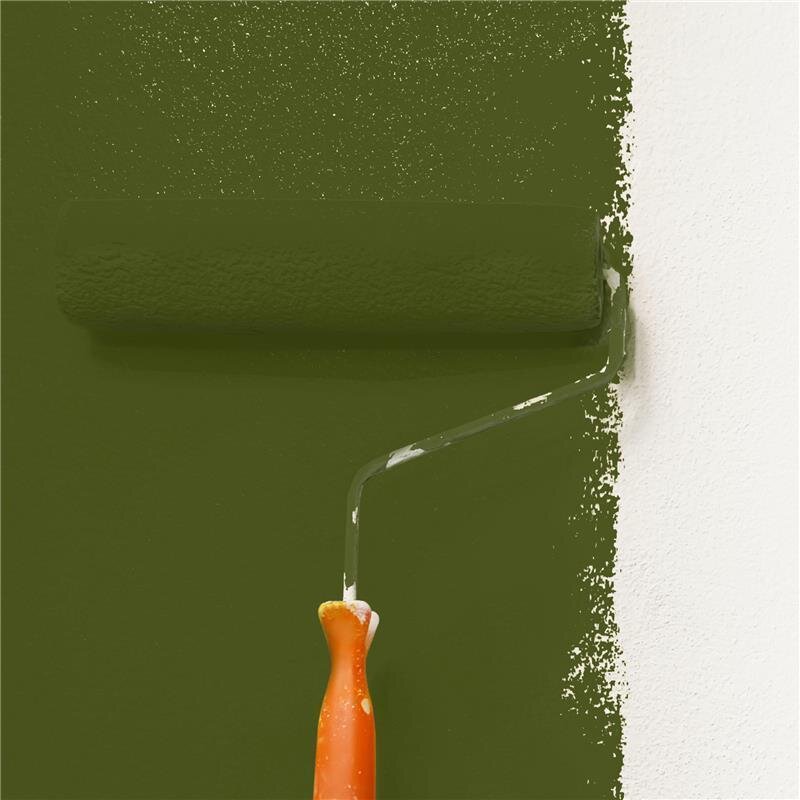 Wandfarbe Matt NCS-S-6530-G50Y Profi Qualität für Innen