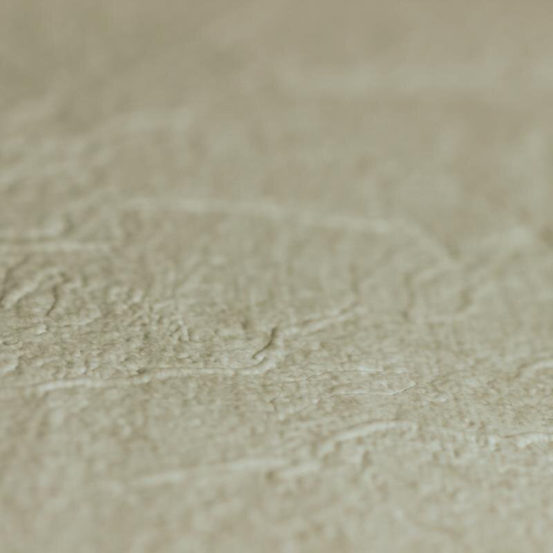 Tapete Beige, Creme Dieter Langer Vliestapete (58818)