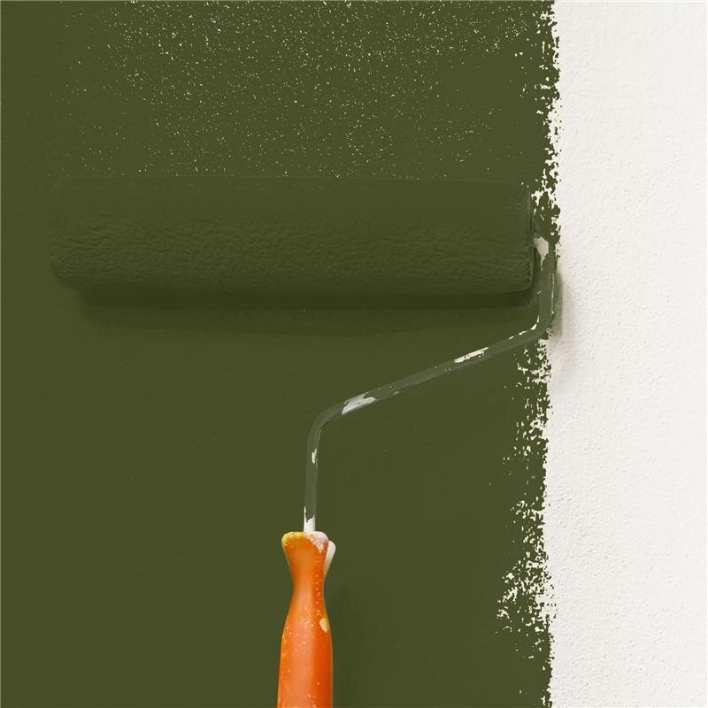 Wandfarbe Matt NCS-S-7020-G50Y Profi Qualität für Innen