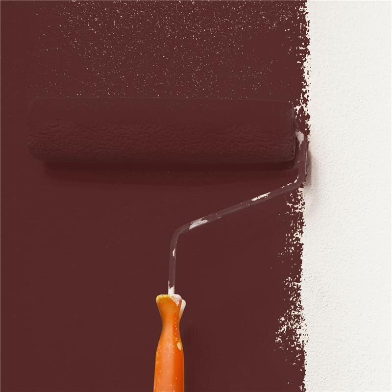 Wandfarbe Matt NCS-S-7020-R Profi Qualität für Innen