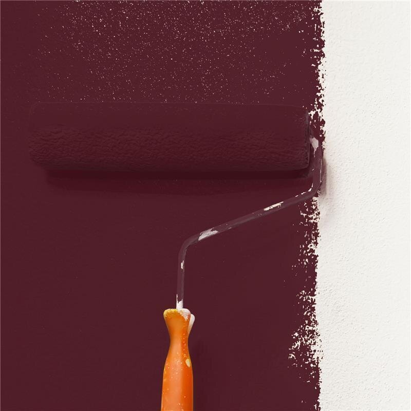 Wandfarbe Matt NCS-S-7020-R10B Profi Qualität für Innen