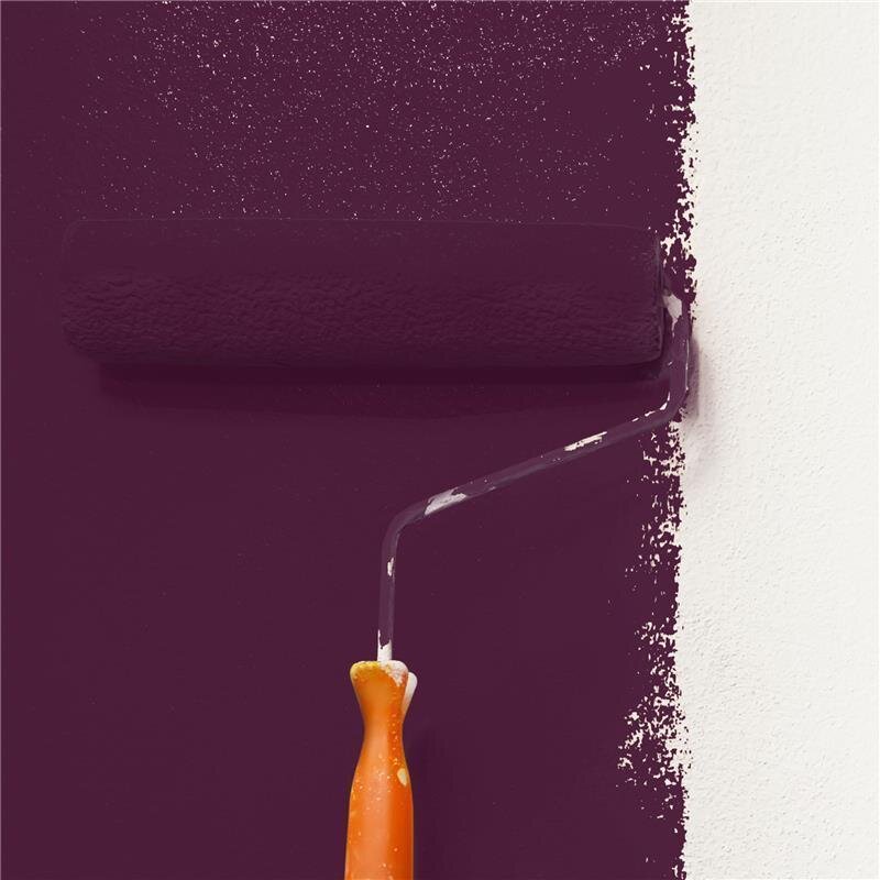 Wandfarbe Matt NCS-S-7020-R30B Profi Qualität für Innen