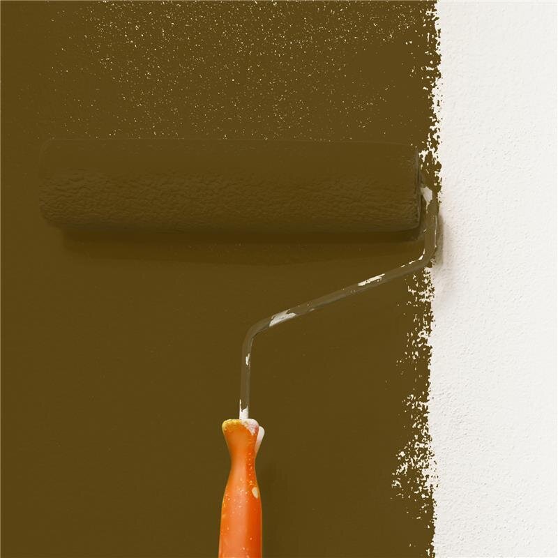 Wandfarbe Matt NCS-S-7020-Y Profi Qualität für Innen