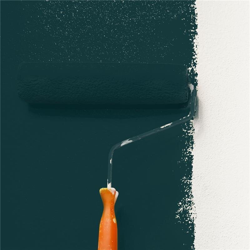 Wandfarbe Matt NCS-S-8010-B30G Profi Qualität für Innen