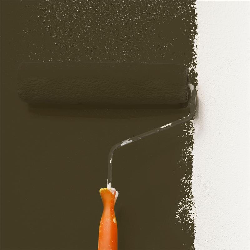 Wandfarbe Matt NCS-S-8010-G90Y Profi Qualität für Innen