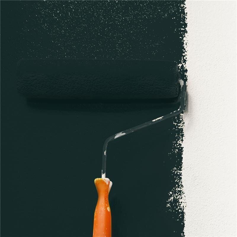 Wandfarbe Matt NCS-S-8505-B50G Profi Qualität für Innen