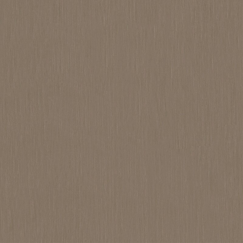 Tapete Braun Dieter Langer Vliestapete (58817)