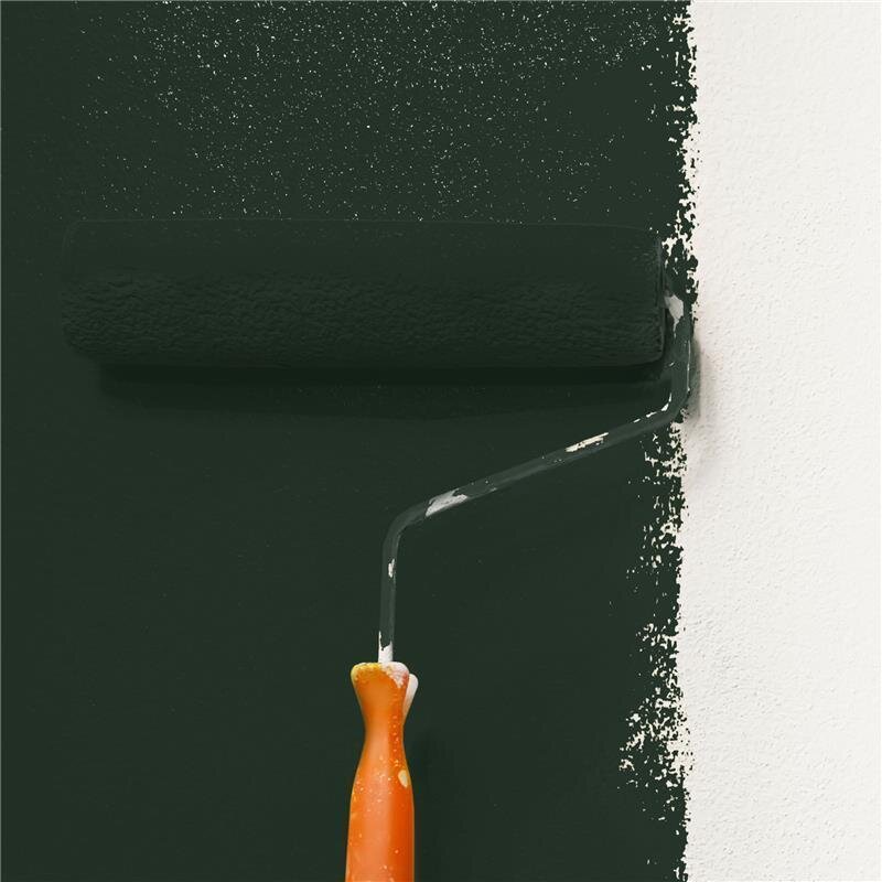 Wandfarbe Matt NCS-S-8505-G20Y Profi Qualität für Innen