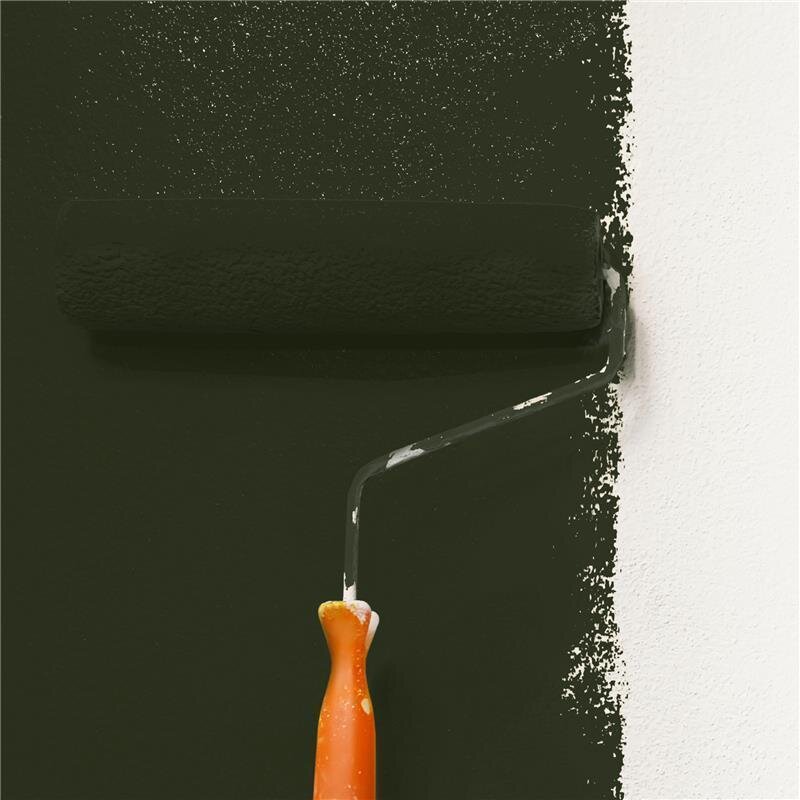 Wandfarbe Matt NCS-S-8505-G50Y Profi Qualität für Innen