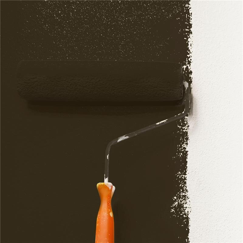 Wandfarbe Matt NCS-S-8505-Y20R Profi Qualität für Innen