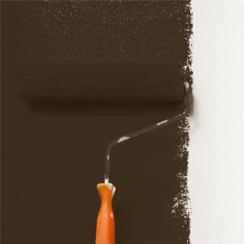 Wandfarbe Matt NCS-S-8505-Y50R Profi Qualität für Innen