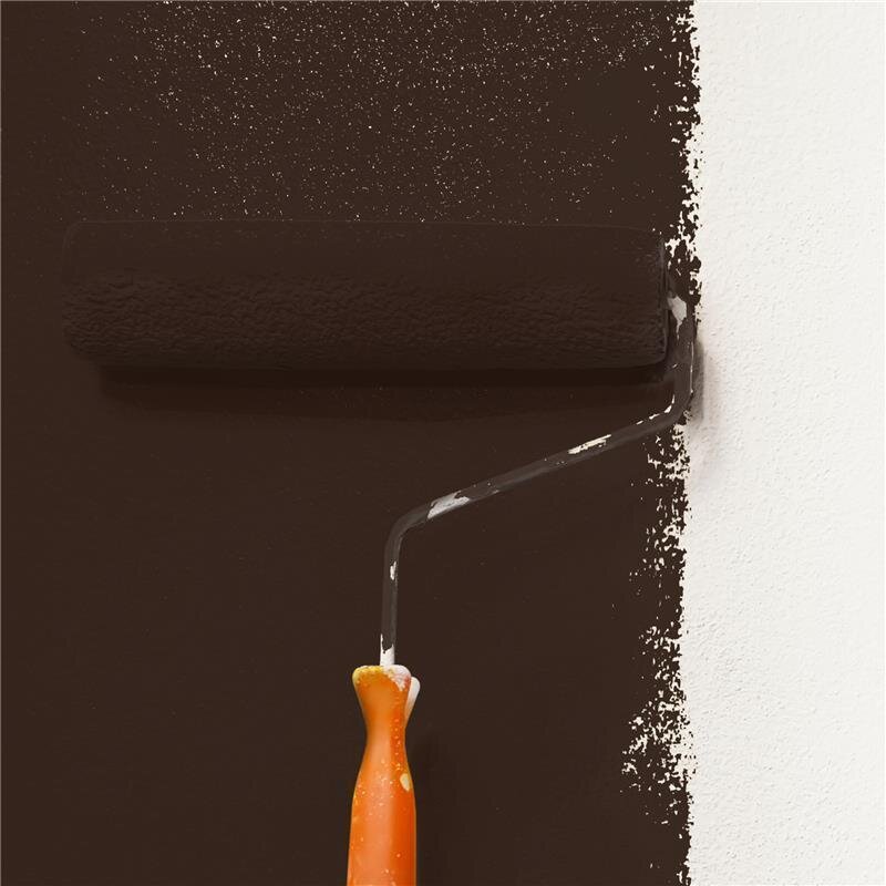 Wandfarbe Matt NCS-S-8505-Y80R Profi Qualität für Innen