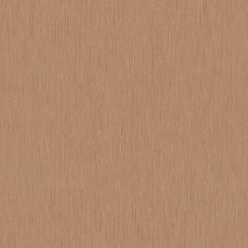 Tapete Braun Dieter Langer Vliestapete (58815)