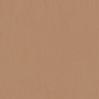 Tapete Braun Dieter Langer Vliestapete (58815)