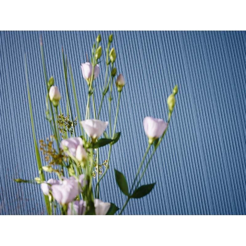 Tapete Weiß Überstreichbar AS-Creation (581310)