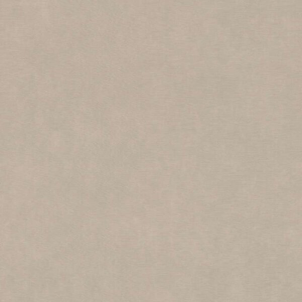 Tapete Greige Rasch Vliestapete (330038)