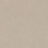 Tapete Greige Rasch Vliestapete (330038)