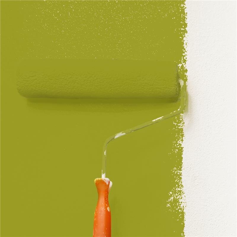 Wandfarbe Matt NCS-S-3060-G70Y Profi Qualität für Innen 1 Liter