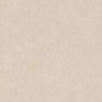 Tapete Greige Rasch Vliestapete (330021)