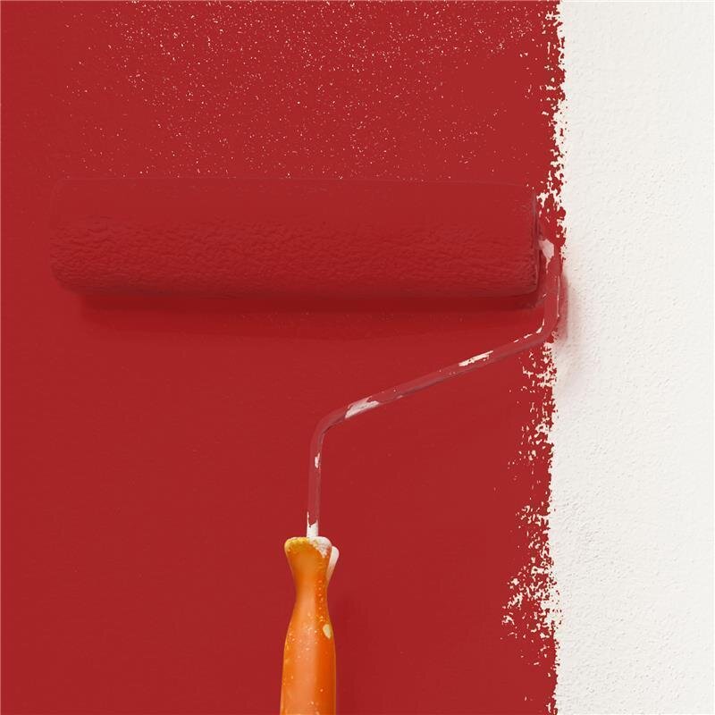 Wandfarbe Matt NCS-S-2570-Y90R Profi Qualität für Innen 2.5 Liter