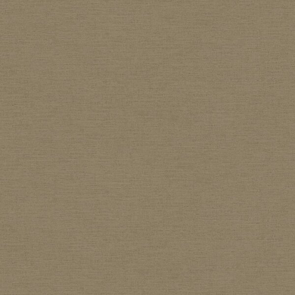 Tapete Braun AS-Creation Vliestapete (306892)