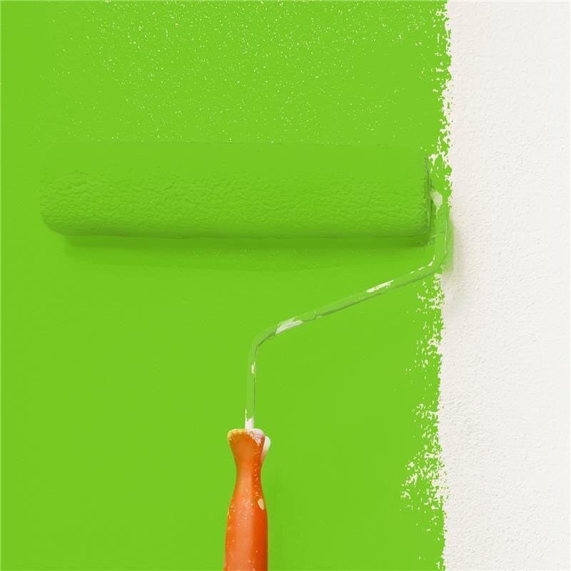 Wandfarbe Matt NCS-S-0580-G30Y Profi Qualität für Innen 5 Liter