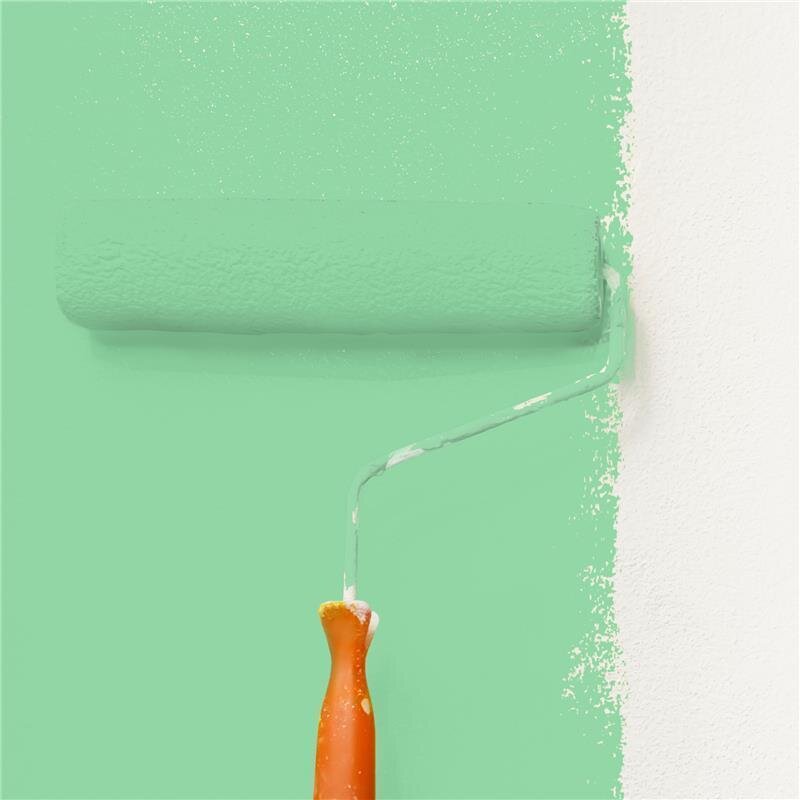 Wandfarbe Matt NCS-S-1040-G10Y Profi Qualität für Innen 5 Liter