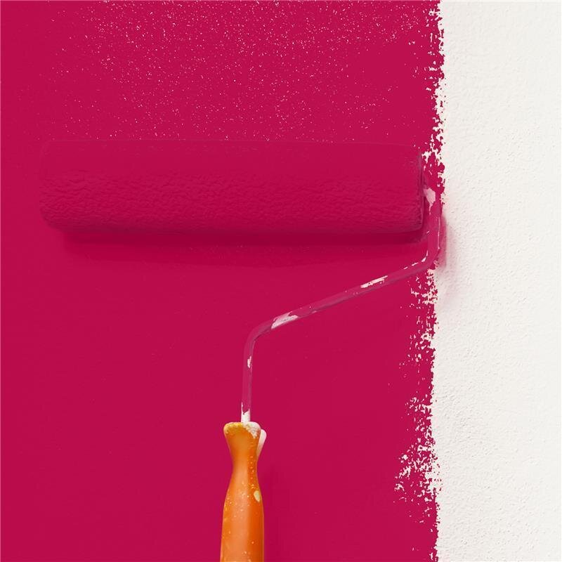 Wandfarbe Matt NCS-S-1575-R10B Profi Qualität für Innen 5 Liter