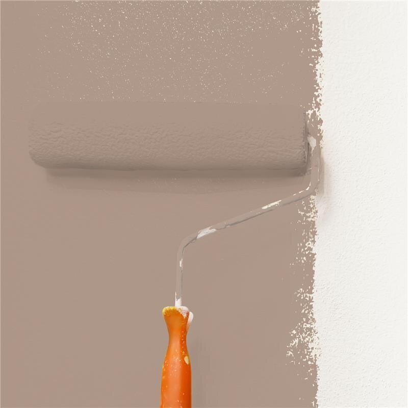 Wandfarbe Matt NCS-S-4010-Y50R Profi Qualität für Innen 5 Liter