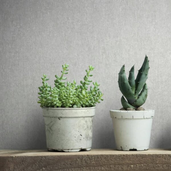 Tapete Grau, Silber, Marburg Vliestapete (35137)