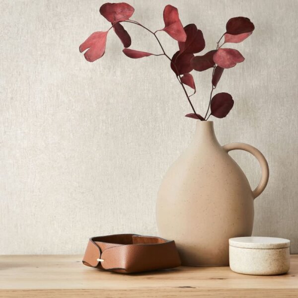 Vliestapete in Beige Betonoptik Uni Modern für Wohnzimmer Schlafzimmer Küche (35522)