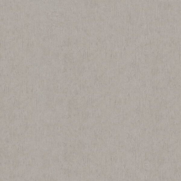 Vliestapete in Grau, Beige Betonoptik Uni Modern für Wohnzimmer Schlafzimmer Küche (35525)