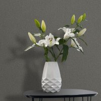 Vliestapete in Grau Strukturierte Putzoptik Uni f&uuml;r...