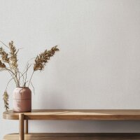 Vliestapete in Grau, Wei&szlig; Strukturierte Putzoptik...