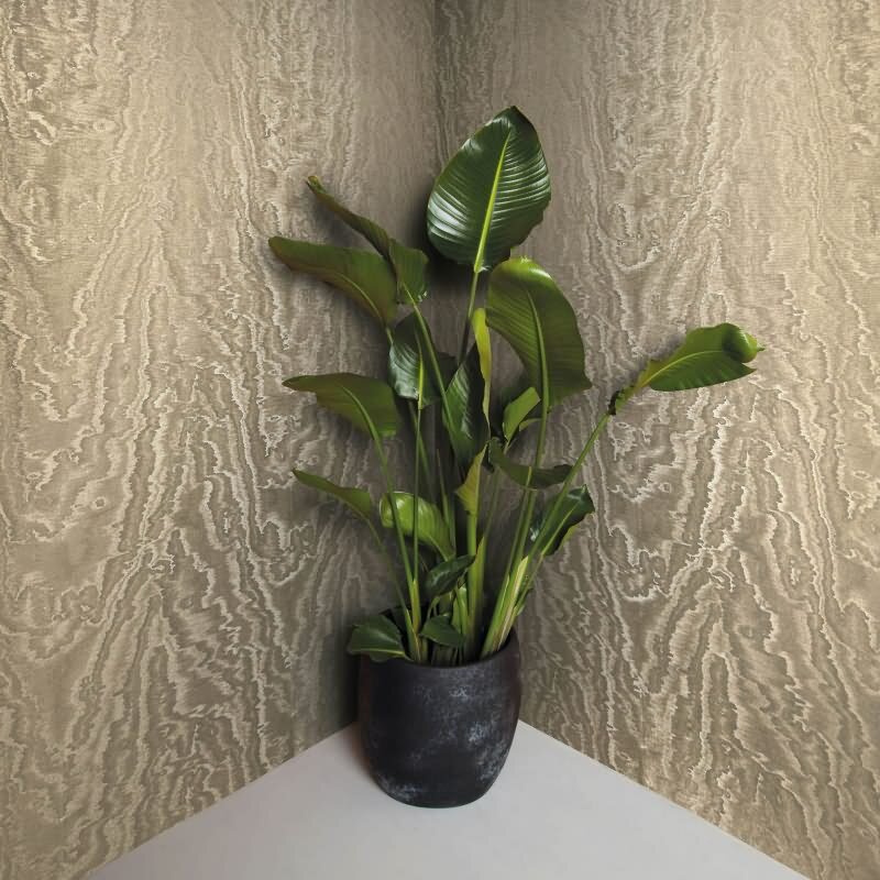 Vliestapete in schimmernder Marmoroptik gold Metalloptik (86541)