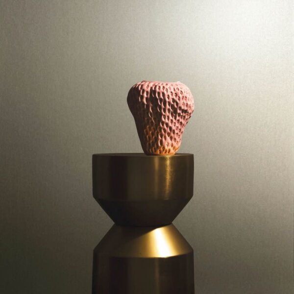 Vliestapete mit glänzendem Uni-Look beige Metalloptik (86560)